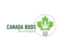 Canada Buds Burlington